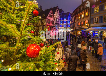 Luci colorate su alberi di Natale e ornamenti al crepuscolo Colmar Haut-Rhin dipartimento Alsace Francia Europa Foto Stock