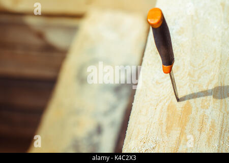 Coltello da caccia con manico in legno incollato nella struttura ad albero Foto Stock