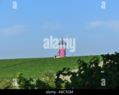 Paesaggio con torre del vigneto di Woerrstadt, Alzey County, Rhinehesse Foto Stock