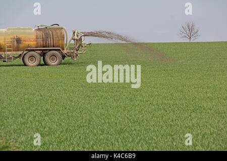 Il concime viene collocato sul campo Foto Stock