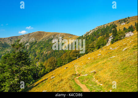 Paesaggio del Parco Naturale dei Ballons Des Vosges, presso la Fattoria e Guesthouse Schiessrothried, Alsazia, Francia Foto Stock