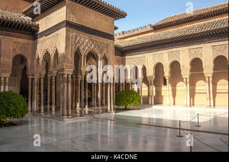 Corte dei Leoni, palazzi Nasridi, Alhambra a Granada, Andalusia, Spagna Foto Stock