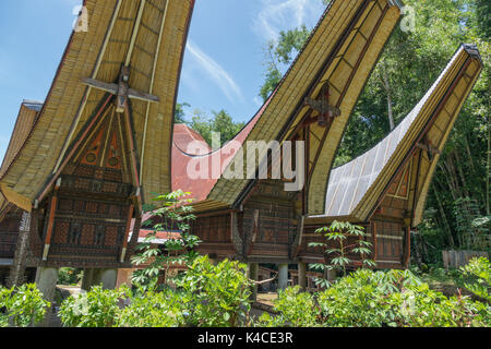 3 Tre riso indonesiano fienili, vegetazione verde in primo piano, cielo blu, Alang, Tana Toraja, Sulawesi meridionale, Indonesia Foto Stock