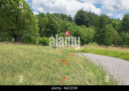 Papavero rosso accanto a Cornfield conduce a svolazzanti bandiera svizzera davanti di vegetazione verde, cielo blu e nuvole bianche Foto Stock