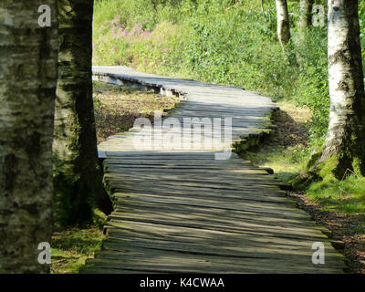 Modo sicuro attraverso il Moor, Log lastricato percorso nel Black Moor, Rhoen Foto Stock