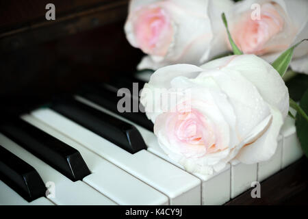 Close-up di colore rosa pallido le rose sono giacenti sul vecchio pianoforte tastiera. Foto Stock