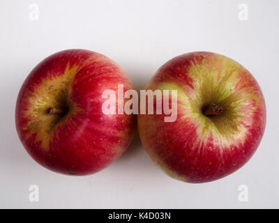 Due isolati akane apple Foto Stock