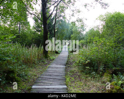 Modo sicuro attraverso il Moor, Log lastricato percorso nel Black Moor, Rhoen Foto Stock