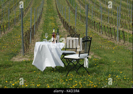 Tavolo con bottiglie di vino su di esso in UN vigneto, Picknick in UN vigneto Foto Stock