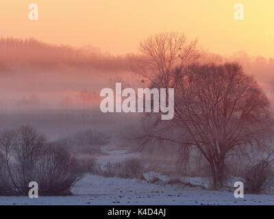 Sunrise in ampermoss, sulla valle del fiume fen vicino ammersee in Alta Baviera Foto Stock