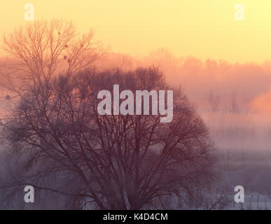 Sunrise In Ampermoss, sulla valle del fiume Fen vicino Ammersee in Alta Baviera Foto Stock