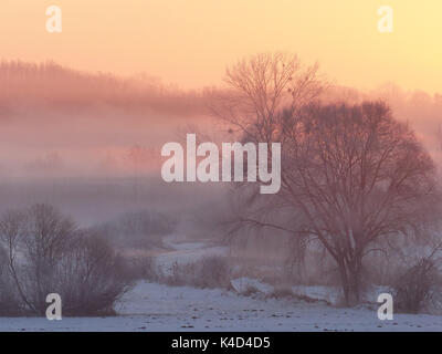 Sunrise In Ampermoss, sulla valle del fiume Fen vicino Ammersee in Alta Baviera Foto Stock