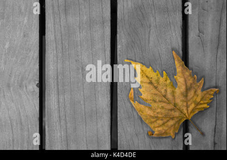 Foglia sul tavolo di legno Foto Stock