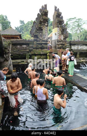 Pura Tirta Empul, è un tempio sacro dell'acqua indù situato vicino alla città di Tampaksiring nel centro di Bali, Indonesia. Foto Stock