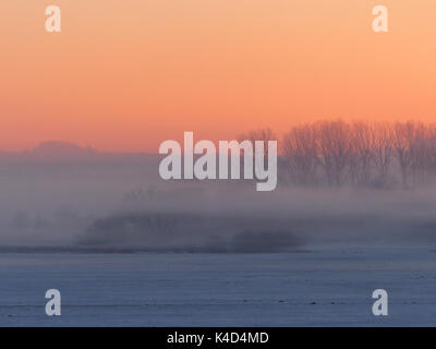 Sunrise In Ampermoss, sulla valle del fiume Fen vicino Ammersee in Alta Baviera Foto Stock