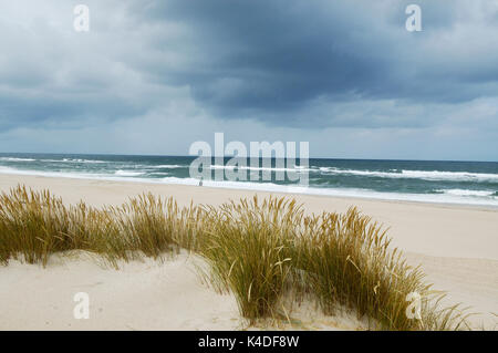 Costa nova beach. Aveiro, Portogallo Foto Stock