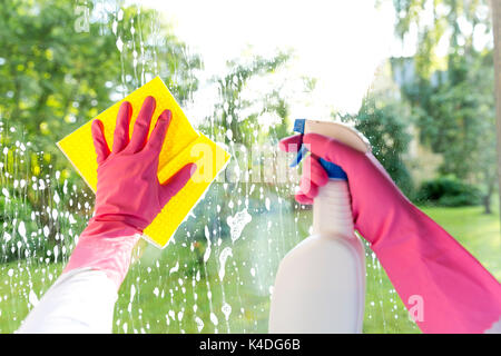 Mani femminili in rosa guanti finestra di pulizia con panno giallo e spray detergente. Pulizia di Primavera, i lavori domestici concept Foto Stock