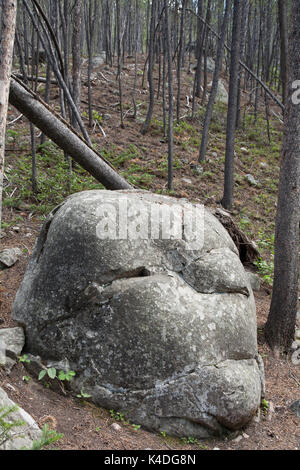 Antropomorfo roccia di granito a forma di una testa umana, che si trova lungo il Rock Creek vicino al Cancello Nord del la Beartooth Highway. Quest'ultimo è cons Foto Stock