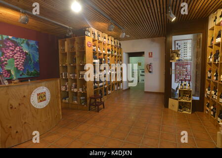 Ribeira Sacra centro vinicolo in Monforte de Lemos, Lugo, Galizia, Spagna Foto Stock