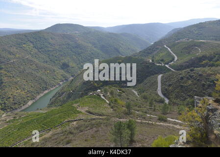 Rio sil paesaggio, Galizia, Spagna Foto Stock