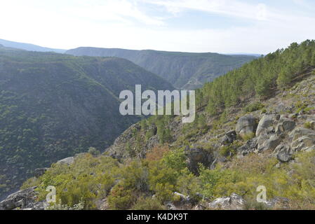 Rio sil paesaggio, Galizia, Spagna Foto Stock