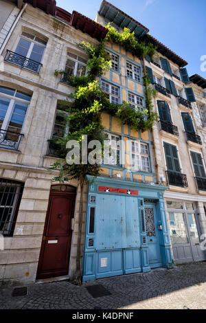 Albero che cresce su una facciata di un vecchio edificio con un negozio di blu. Foto Stock