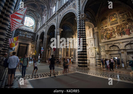 All'interno di Siena Catedral, Siena Toscana Italia Europa UE Foto Stock