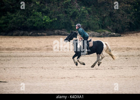 Gannel estuary - un horserider cavalcare lungo la parte esposta del letto del fiume a bassa marea sul fiume gannel in Newquay, Cornwall. Foto Stock