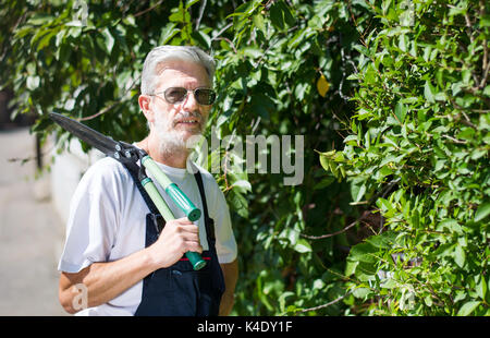 Fresatura di giardiniere siepe con forbici da giardinaggio in una giornata di sole Foto Stock