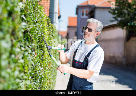Fresatura di giardiniere siepe con forbici da giardinaggio in una giornata di sole Foto Stock