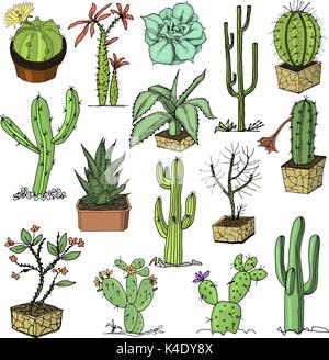 Home cactus con spine e gli elementi della natura in vasi e con i fiori esotici o tropicale. raccolta di varie piante succulente. incise in inchiostro disegnata a mano nel vecchio disegno e stile vintage. Illustrazione Vettoriale