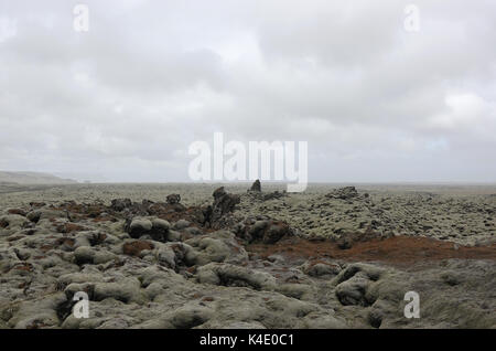 L'Islanda, le pietre laviche coperte con l'Islanda moss, sud-est Foto Stock