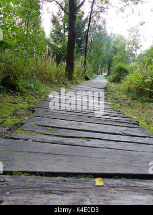 Modo sicuro attraverso il Moor, Log lastricato percorso nel Black Moor, Rhoen Foto Stock