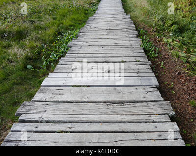 Modo sicuro attraverso il Moor, Log lastricato percorso nel Black Moor, Rhoen Foto Stock