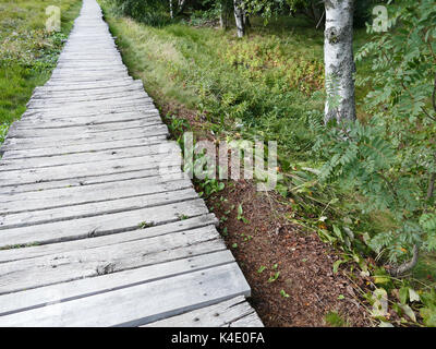 Modo sicuro attraverso il Moor, Log lastricato percorso nel Black Moor, Rhoen Foto Stock