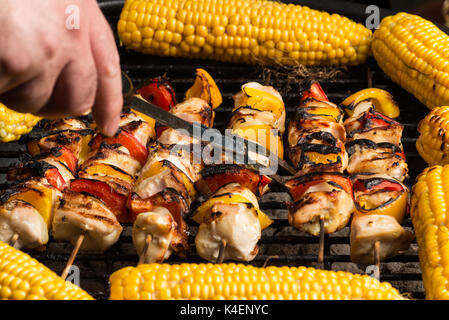 Pollo alla brace spiedini di carne con le cipolle e i peperoni incorniciato da dolci calli. Foto Stock