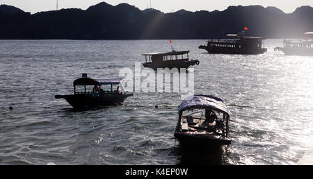 Vietnamita tradizionale di barche e villaggio galleggiante vicino a Cat Ba island, Lan Ha Bay, la parte southestern di Ha Lng Bay, Vietnam Foto Stock