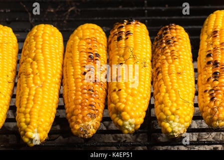 Il mais dolce su carbone di legna barbeque. Foto Stock