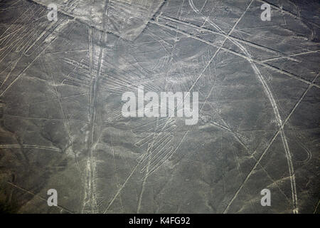 Il Condor, Linee di Nazca, (antica geoglifi e Sito del Patrimonio Mondiale) nel deserto vicino a Nazca, Regione di Ica, Perù, Sud America - aerial Foto Stock