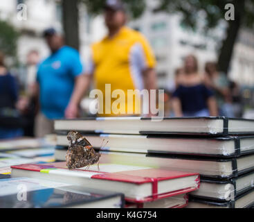 Una farfalla si appollaiano su una pila di libri sul marciapiede fuori da Central Park a New York City. Foto Stock