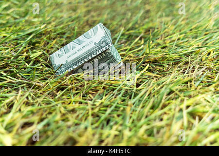 Alloggiamento crash di mercato. naufragio origami casa in contanti sull'erba Foto Stock