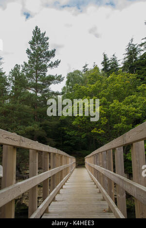 Ponte sul Tyne sud a tenuta, Northumberland Foto Stock