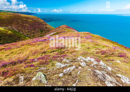 La vista sul Canale di Bristol dalla costa sud-ovest percorso nel Parco Nazionale di Exmoor,Somerset. Foto Stock