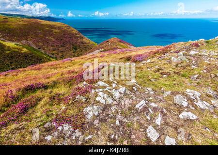 La vista sul Canale di Bristol dalla costa sud-ovest percorso nel Parco Nazionale di Exmoor,Somerset. Foto Stock