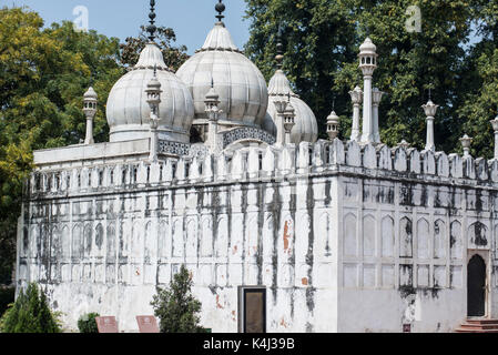 Moti masjid, Delhi Foto Stock