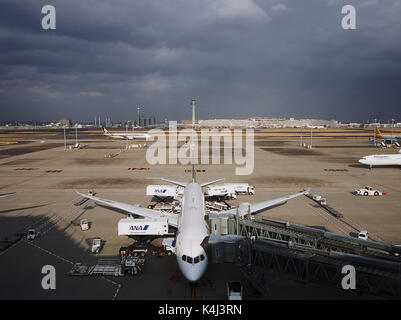 Ana Boeing 787 Dreamliner essendo caricato all'aeroporto di New Chitose grembiule, Hokkaido, Giappone Foto Stock