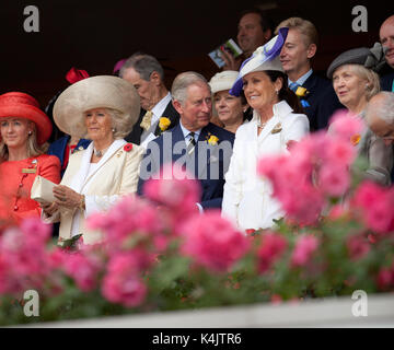 Il Principe di Galles e la duchessa di Cornovaglia frequentare la Melbourne Cup martedì 6 novembre 2012. Foto Stock