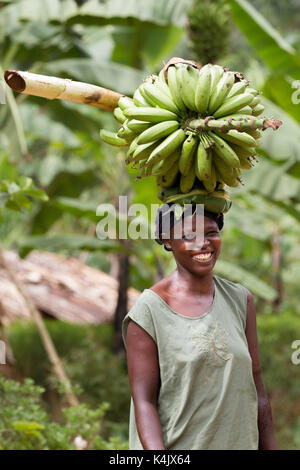 Un ritratto di una donna sorridente e portante un grande grappolo di banane sul suo capo, Uganda, Africa Foto Stock