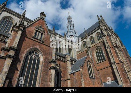 Stile tardo gotico Grote Kerk (st.-bavokerk chiesa protestante), Haarlem, Olanda settentrionale, Paesi Bassi, Europa Foto Stock