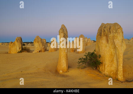 Famosi pinnacoli in Nambung National Park. Foto Stock